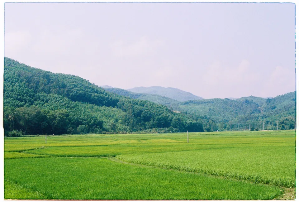 Kho gạo của Nguyễn Tấn Viễn